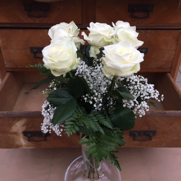 Weiße Rosen Bild 2